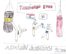 taekwondo kwon umjetnost